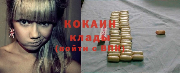 амф Верея
