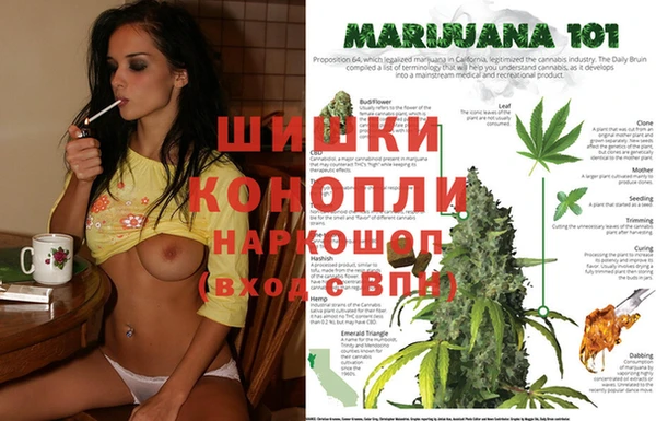 амф Верея