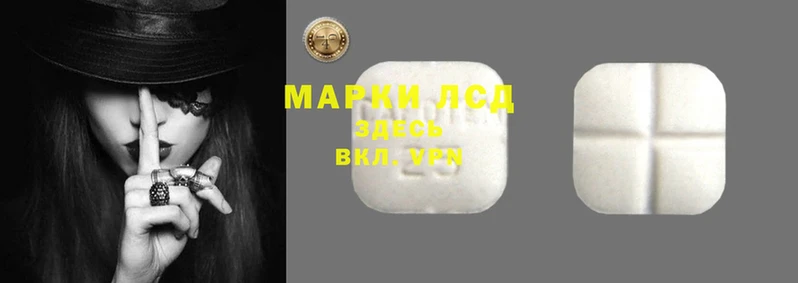 амф Верея