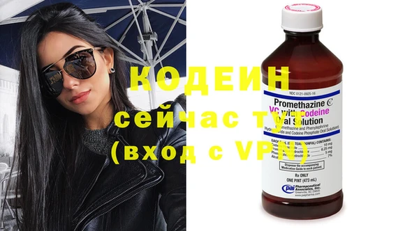 амф Верея