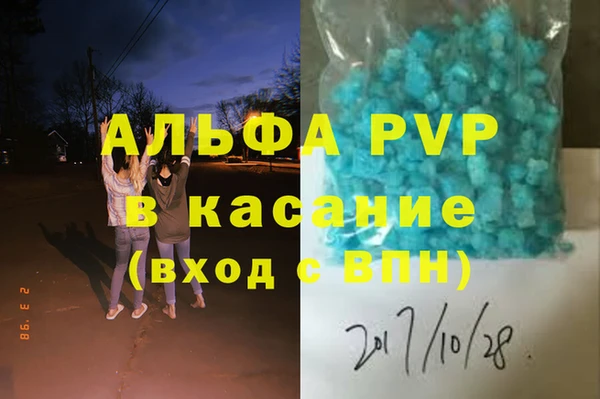 амф Верея