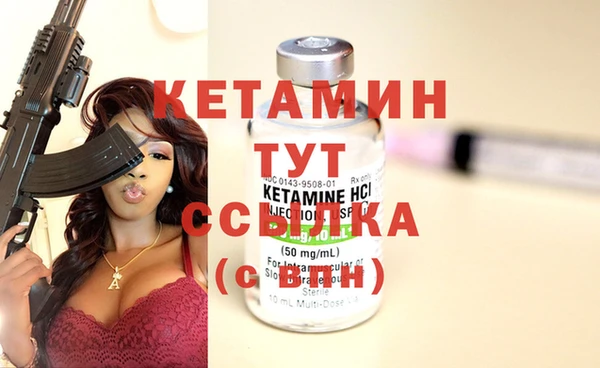 амф Верея