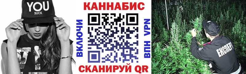 Шишки марихуана Bruce Banner что такое гидра онион Стерлитамак